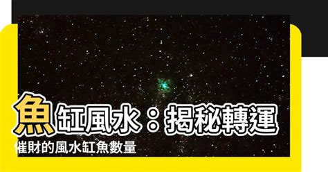 風水缸魚數量|【風水 魚 數量】風水魚缸養幾條才旺財？揭開三界五行的最佳數。